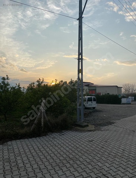 Fotoğraf